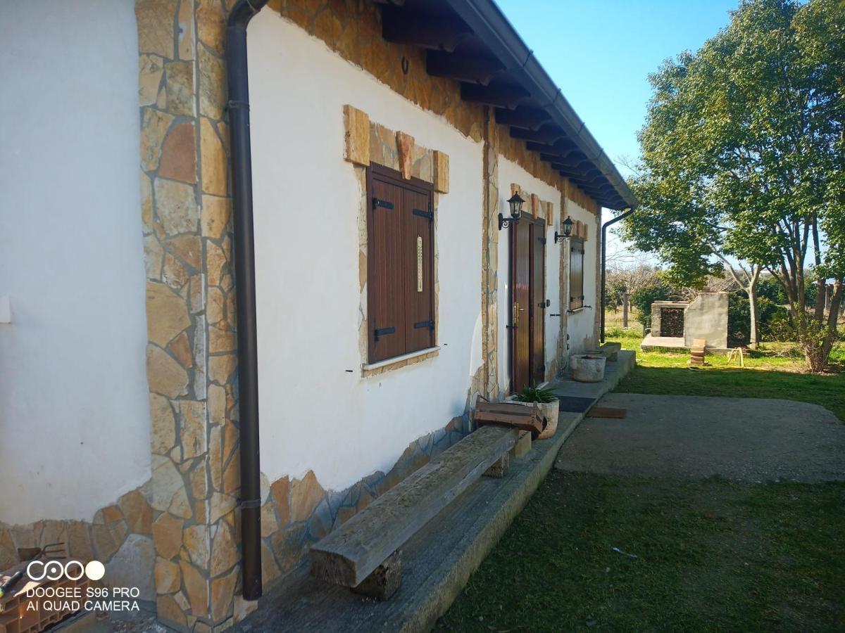 Chalet Momon1616 Intero